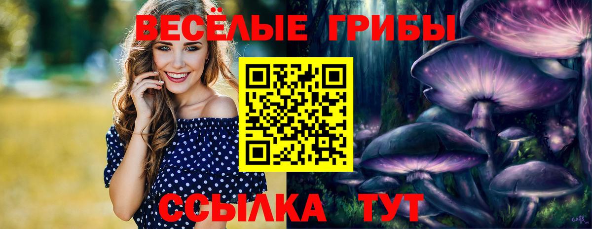 Псилоцибиновые грибы GOLDEN TEACHER Шадринск
