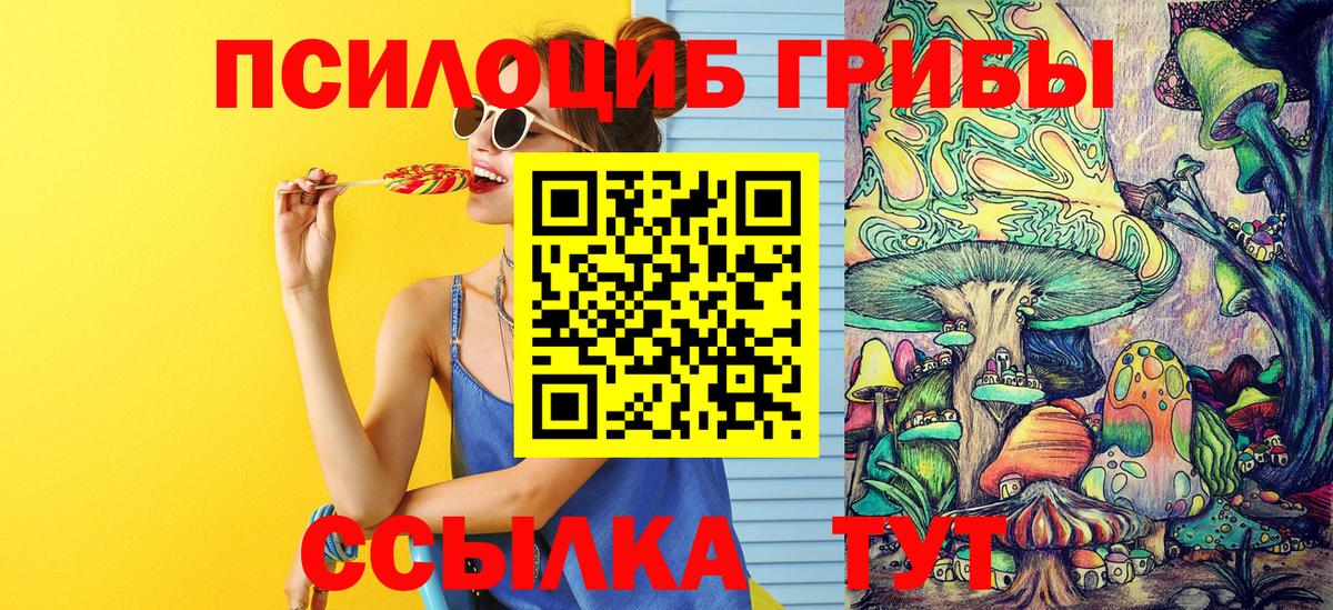 купить наркоту  Псилоцибиновые грибы MAGIC MUSHROOMS  Вход с VPN  Шадринск  Галлюциногенные грибы Magic Shrooms 